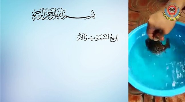 اللہ کے سوا ایسی تخلیق کون کر سکتاہے؟ بے شک کوئی نہیں۔