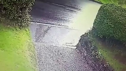 Fail : Une femme promène ses trois chiens