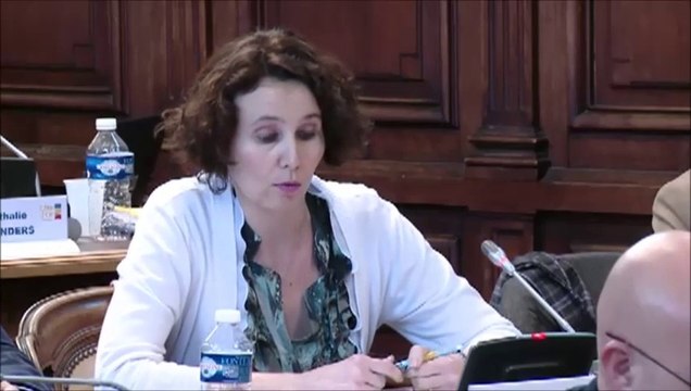 Sandrine HILY. Orientations du schéma de développement durable. 23 novembre 2015