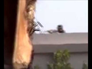 VRITET FOTOREPORTERI PARA SE TA VRASIN NE EGJIPT FILMOI NJERIUN QE E GODITI LAJM