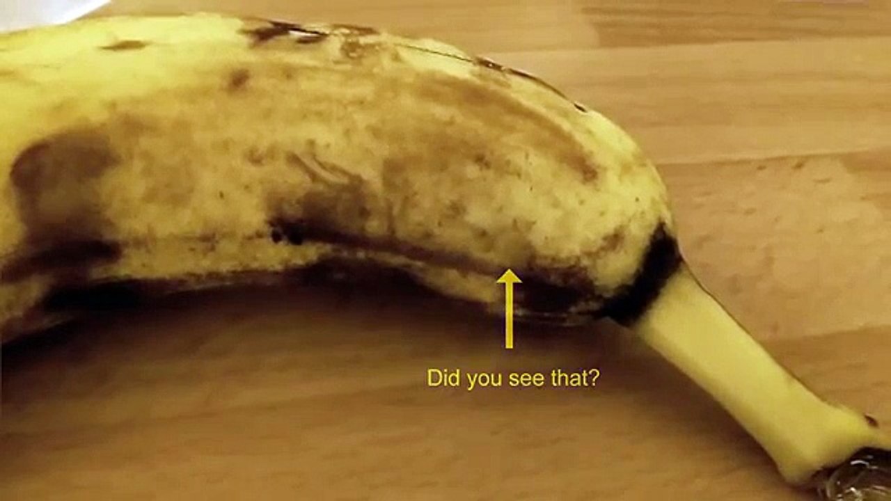 Une araignée sort d’une banane