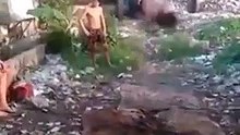 Nhào lộn quá giỏi