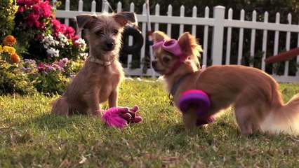 Beverly Hills Chihuahua 3 Trailer 2012