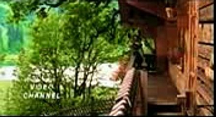 Zindagi Ban Gaye Ho 🎶 - Beautiful Song in MP4 Format