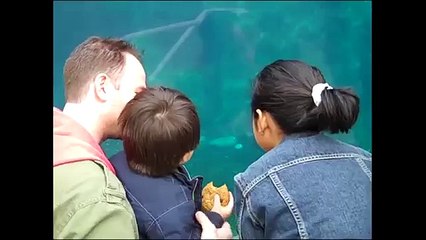 O caso no aquário. Baleia engraçada e do bebê