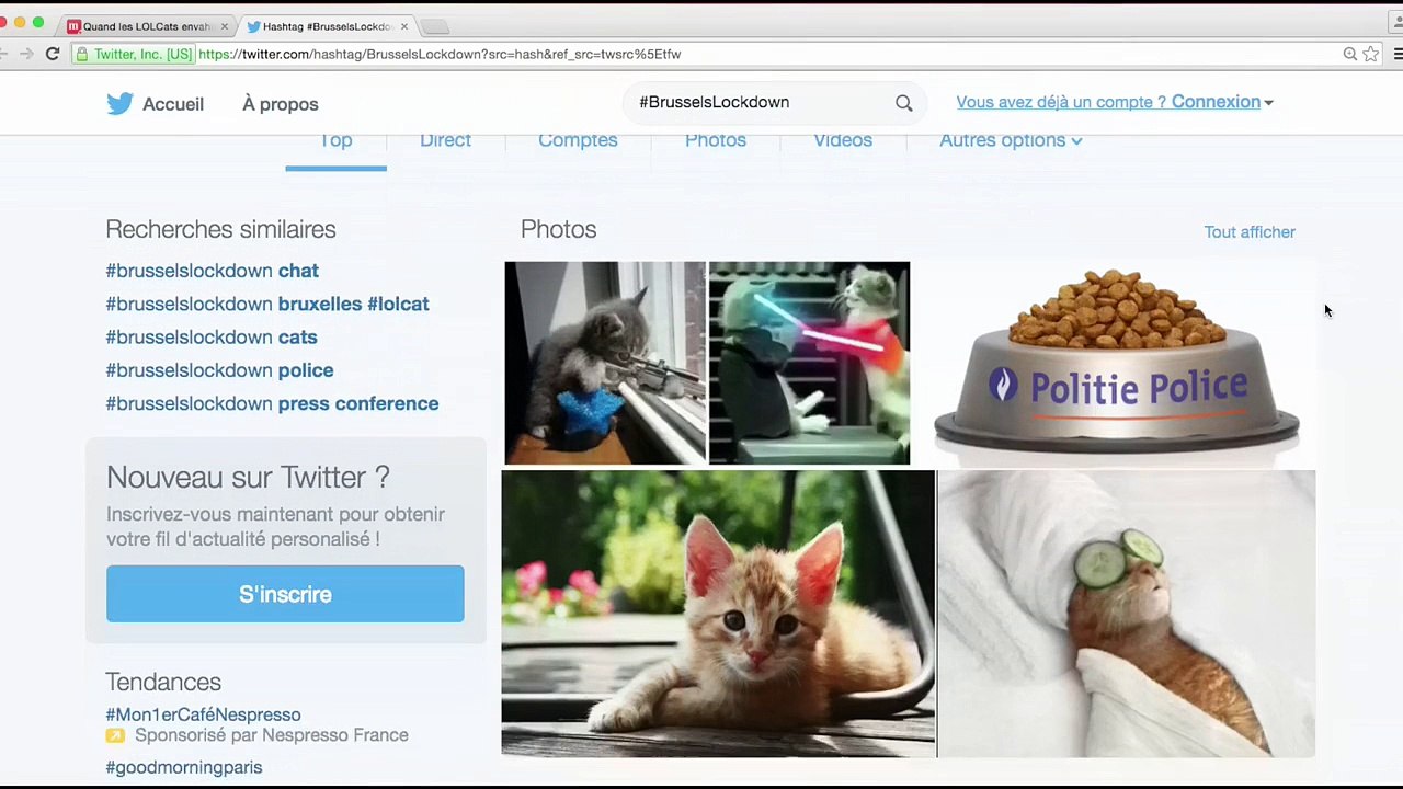 #BrusselsLockdown : des chats rigolos pour lutter contre le terrorisme