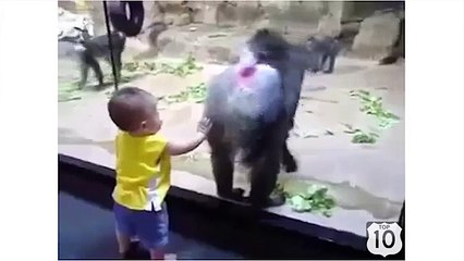 L'événement au zoo. Singe drôle et amusant bébé