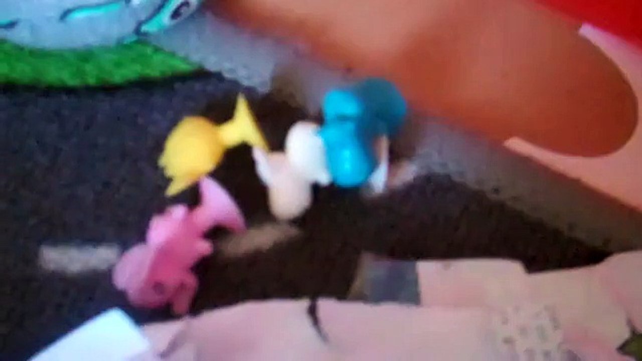 Vidéo 95