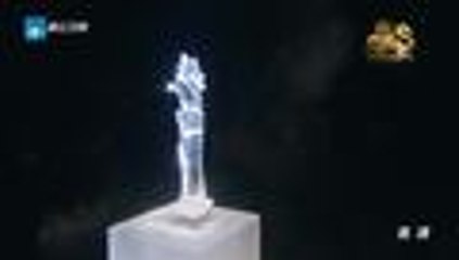 我不是明星 20151123期