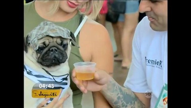 Feira reúne apaixonados por animais de estimação em Brasília