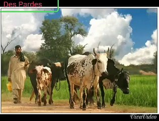 Maa' Boli by Ghulam Hussain Nadeem (An Amazing Punjabi Poem)