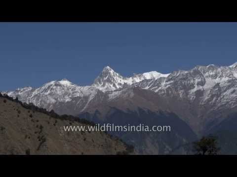 Barsu view of the Garhwal peaks of Srikantha, Jaonli and Mechha