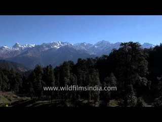 Trekking to the higher meadows of Garhwal: Dayara in the shadow of Jaonli