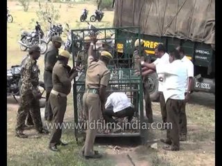 Captured leopard escapes, attacks and bounds off