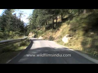 Himalayan driving from Jalori Pass to Sojha in Himachal Pradesh Part 4