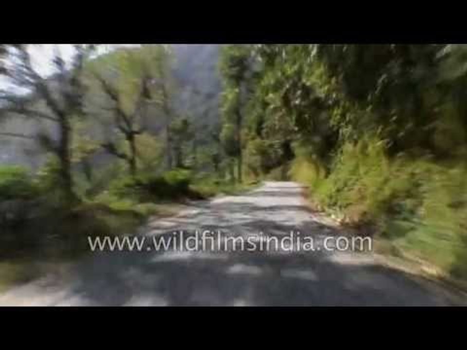 Driving in Sikkim Himalaya : Ravangla to Damthang   Part 3