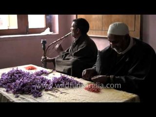 Hookah by the side, Kashmiri men sort Saffron stamens at home