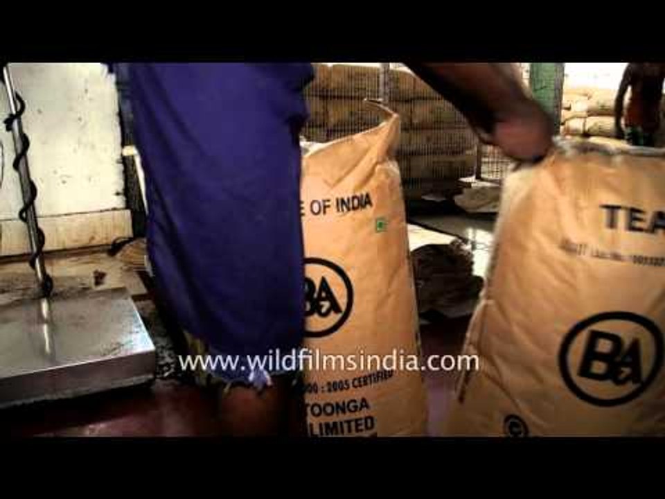 Make in India: Assam Tea packed into tea bags, weighed and readied to ship