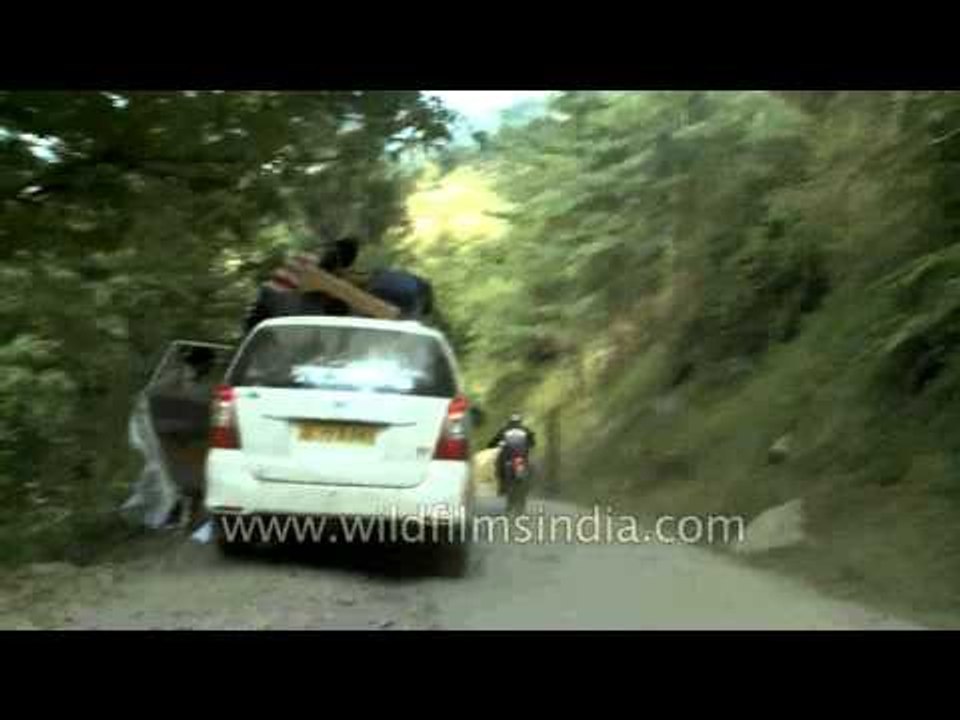 Glimpses from Jalori Pass enroute to Manali - Raid de Himalaya