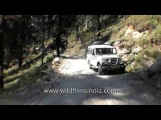 Driving in Himachal Pradesh - Khanag to Jalori Pass Part - 6