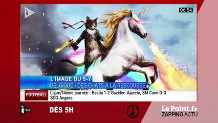 Marion Maréchal Le Pen : "Chez nous, on ne vit pas en djellaba" - Zapping du 23 novembre