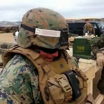 Vine : Soldat tortue