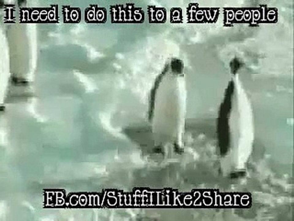 PenguinSlap