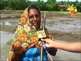 salakuna 23-11-2015 p01