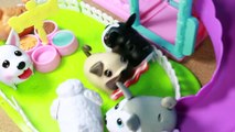 Chubby Puppies BACON ATTACK Ultimate Dog Park Play Yard Puppy Fight Over Bacon Toy Review Toys R Us