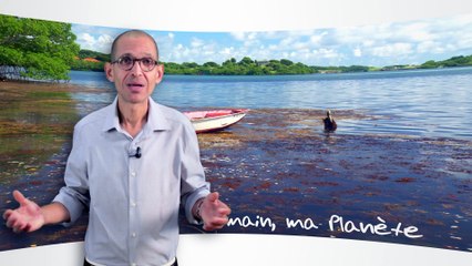 Demain ma planète module 21