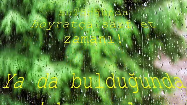 ŞİİR: BU YAZGI DEĞİL (BOJİDAR ÇİPOF)