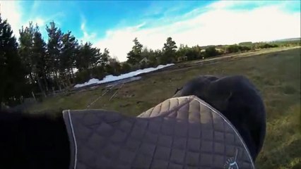 Balade avec Harley