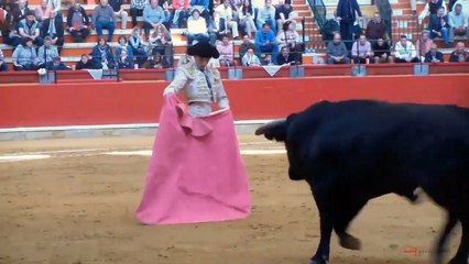 Spot Ginés Marín 2015