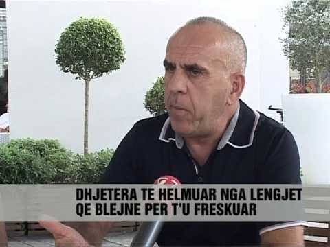 Kujdes nga pijet ne diell - News, Lajme - Vizion Plus