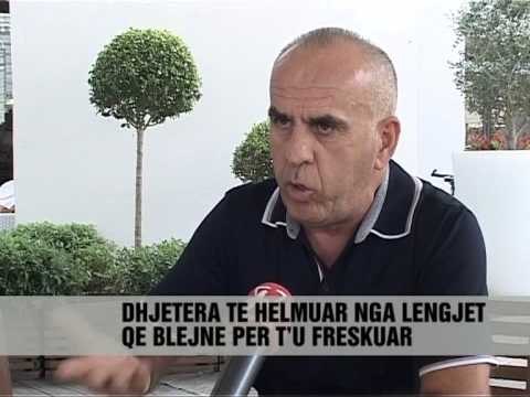 Kujdes nga pijet ne diell - News, Lajme - Vizion Plus