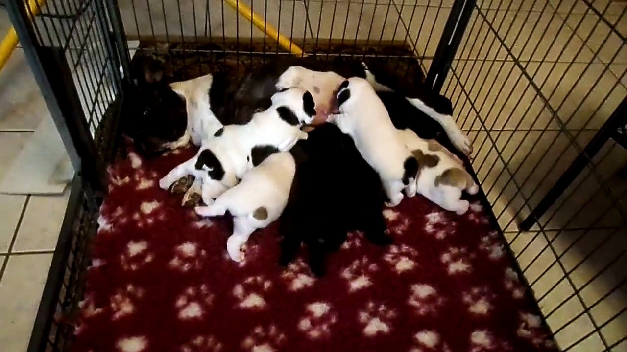 les bebes a 3 semaines