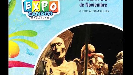 demandara municipio por lucrar con logotipo de las momias