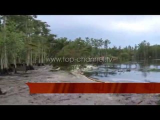 Bllok informativ nga bota - Top Channel Albania - News - Lajme