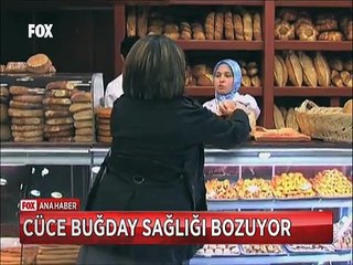 Canan Karatay'dan Cüce buğday ve Ekmek gerçeği