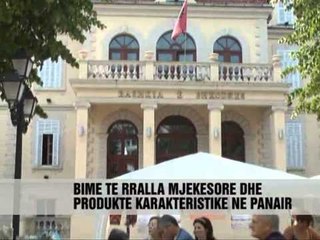 Hapet panairi i artizanatit, Shkodër - News, Lajme - Vizion Plus