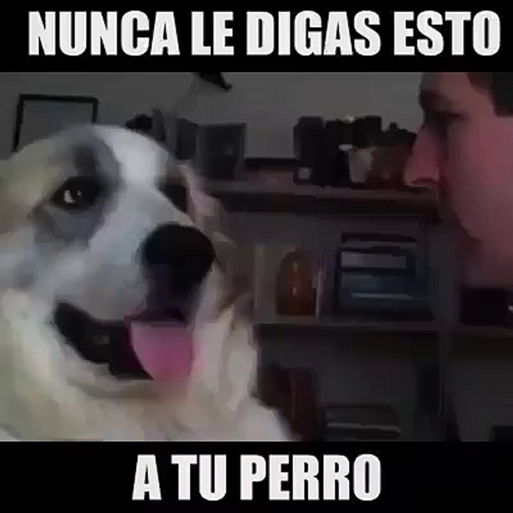 funny19