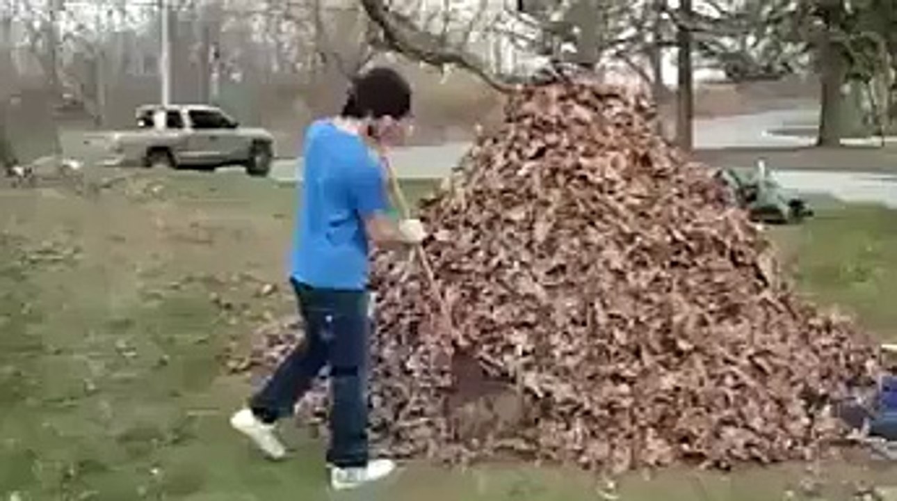 funny24