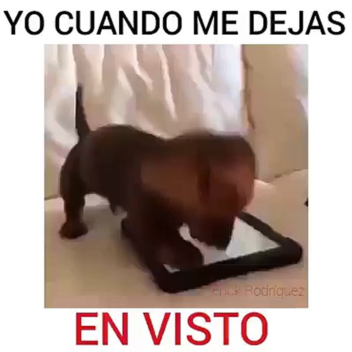 funny29