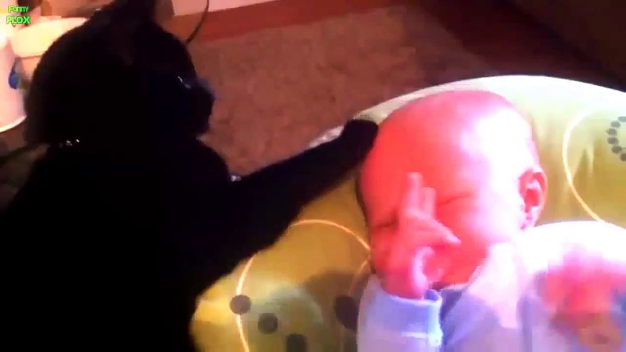 Babies and Animals Compilation