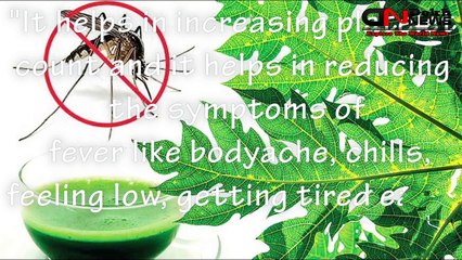 Dengue Fever - Natural Treatment | डेंगू से बचने के तरीके - Home Remedy | Health Tips In H