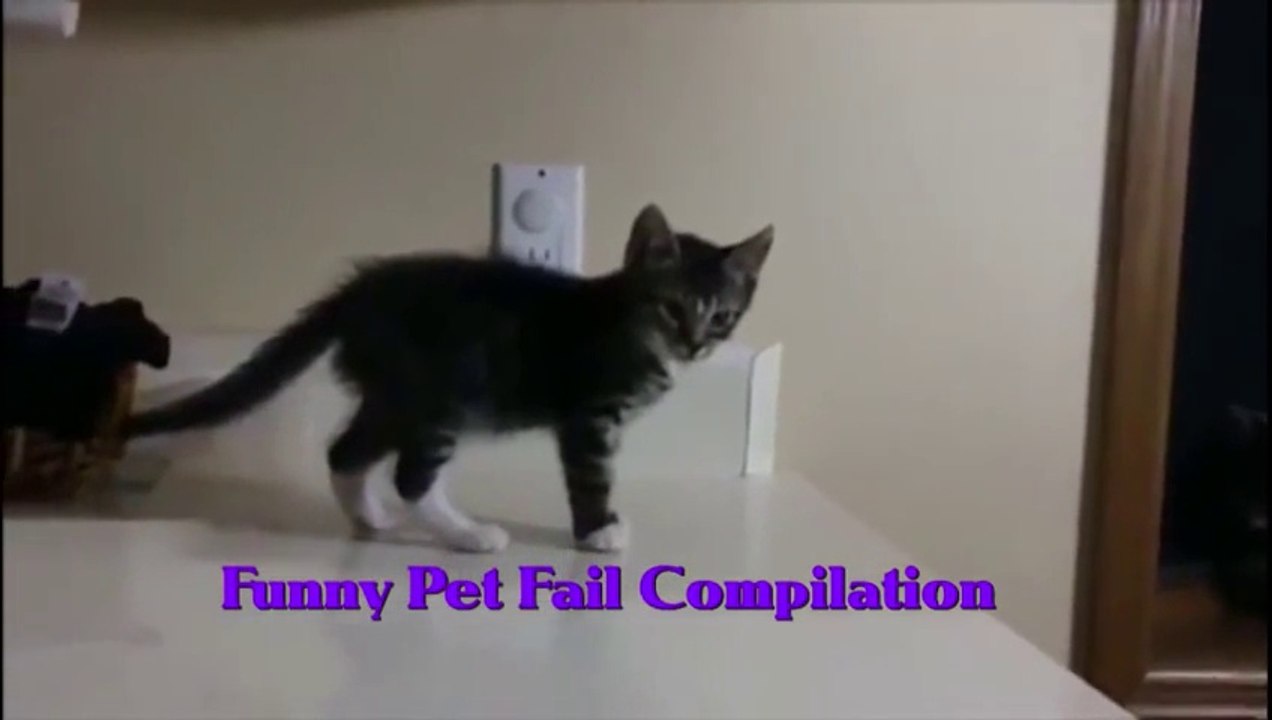 Funny Pet Fail Compilation