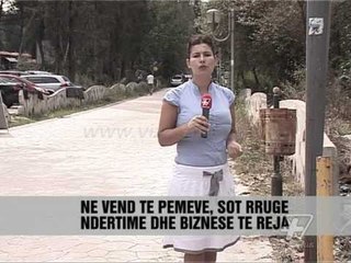 Tkurret Parku i Liqenit  - News, Lajme - Vizion Plus