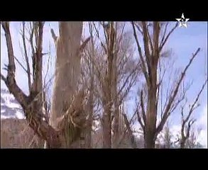 المسلسل المغربي الجديد شوك السدرة _ الحلقة التانية