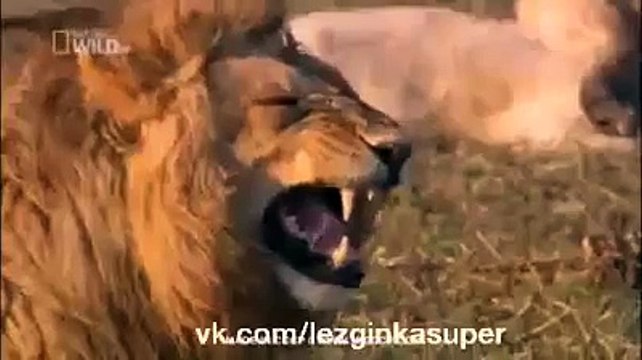 Давай Поспорим Что Ты Засмеешься Let's bet you're starting to laugh