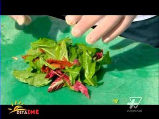 Dita Ime - Kuzhina - 17 Shtator 2013 - Pj. e katert - Show - Vizion Plus